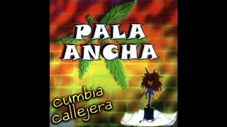 Pala Ancha - El Drogón