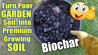 Making Biochar At Home | Turn Poor Garden Soil Into Premium Gardening Soil!