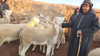 خيرات موجودة في سوق الاسبوعي في سوق الاتنين ابن احمد نقدم لكم أتمنة خروف 🐏حولى تاريخ تصوير 8/1/2024