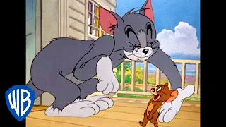 Tom y Jerry en Latino | ¡Amigos! | WB Kids