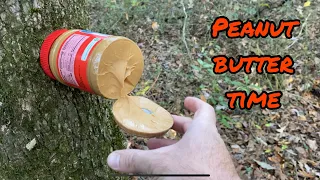 Using PB to attract deer.