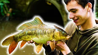 Micro Fishing - BIG SURPRISE!