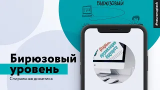 Спиральная динамика от NEUROMAP. Бирюзовый уровень