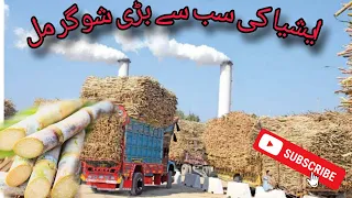 How To Manufacturing Sugar From Sugarcane In Sugar Mill With All Process