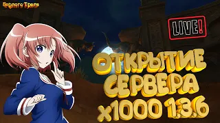 х1000 1.3.6. Открытие сервера! Perfect World OrionPW