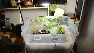 Automated indoor garden prototype