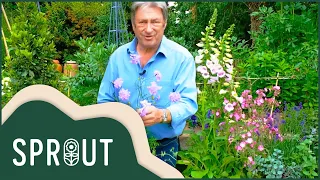 What You Can Grow In Your Garden In 8 Weeks | Alan Titchmarsh: Grow Your Own At Home | Sprout