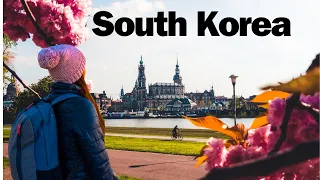 🌍 Unveiling South Korea: A Blend of Tradition and Modernity 🌍