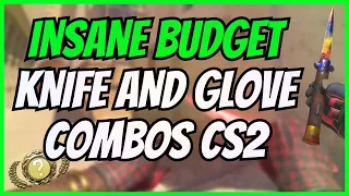 The BEST BUDGET Knife & Glove Combos in CS2!