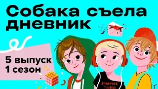 СОБАКА СЪЕЛА ДНЕВНИК: стеснительность, плохие учителя, переход в новую школу