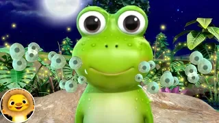 Frogs Lifecycle! | Nursery Rhymes & Kids Songs! | Baby Songs | ABCs and 123s