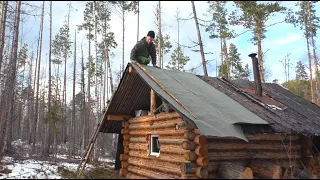 Медведь в фотоловушке. Ремонт избушки.