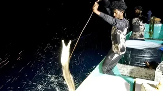 Catching Eel Fish & Marine Cat Fish in the Deep Sea