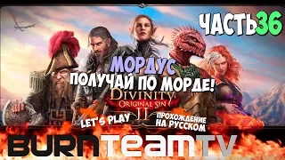 Divinity: Original Sin 2. Часть 36 - Мордус, получай по морде! (Прохождение игры)