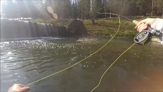 Muškaření na řece / flyfishing in the czech river /R