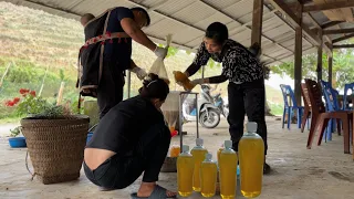 Full close-up video of harvesting wild honey to sell at the market | Family Farm Life