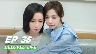 【FULL】Beloved Life EP36: Liu Proposed To Du Di | Victoria Song × Wang Xiaochen | 亲爱的生命 | iQIYI
