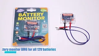 BM6—— Battery Monitor