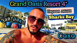 Египет 🇪🇬 Grand Oasis Resort 4* Сохо  Sharks Bay Заселение Номер Завтрак Территория Пляж