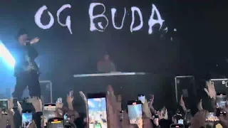 OG Buda - Порш (live Самара 03.11.23)