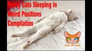 funny cats sleeping in weird positions compilation 2017