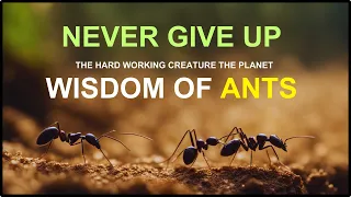 These ants were very hardworking, and they had a special talent  Motivational Story