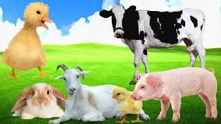 Famous Farm Animals Sounds: Zebra, Giraffe, Duck, Elephant, Rooster, Dog, Antelope,...