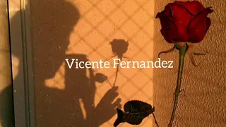 Un millón de primaveras - Vicente Fernandez (Letra )