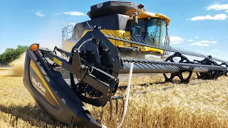 Millennial Farmer Wheat Harvest