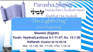 Shabbat Service 04/06/2024 |The Bridge at San Martin | Shmini - The Eight Day | Israel @ War Day 183