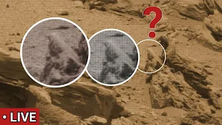 NASA's Mars Rover Capture Real Latest Terrifying Shocking View of Mars Life- Perseverance Images !