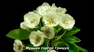 Музыка Для Души ,,ДЫХАНИЕ,, Музыка Сергей Грищук #МУЗЫКА #КРАСИВАЯМУЗЫКА