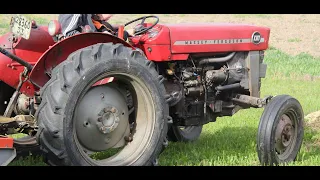 Le petit tracteur Massey Ferguson 130.