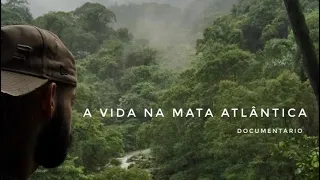 A vida na Mata Atlântica - Documentário