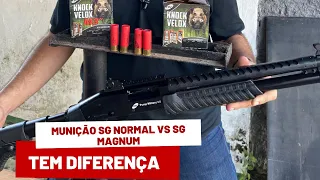 Comparativo Cartuchos SG normal VS SG Magnum!! Houve diferença?? #taurus #calibre12