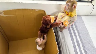 Monkey Kaka tries to help baby monkey Mit stuck in a cardboard box