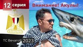 Египет, Хургада. Отдых на Красном море_12 серия: Пляжные хроники (2021).
