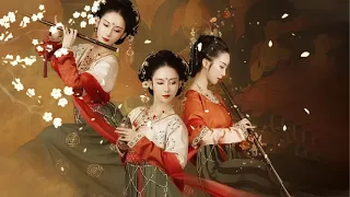 Traditional Chinese Music Instrument Guzheng and Bamboo Flute Music for Sleep