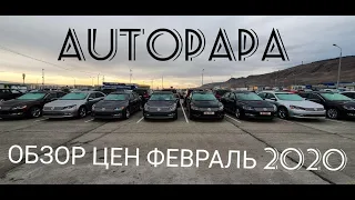 Рынок АВТОПАПА(AUTOPAPA) обзор цен февраль 2020