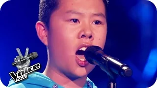 Wolfgang Amadeus Mozart - Der Hölle Rache (The Anh) | The Voice Kids 2016 | Blind Auditions | SAT.1