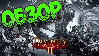 Обзор игры Divinity: Original Sin 2 (Стоит ли покупать?)