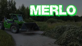 Merlo works 2022