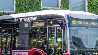 E-Bus Flotte der Wiener Linien wächst kontinuierlich