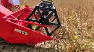 Mini harvester machine harvesting soybeans 🌾🌾🌾