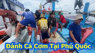 Lưới rút đêm xăm tủ rời bến cà ná lên xe đến phú quốc đánh bắt cá cơm - Dân Biển