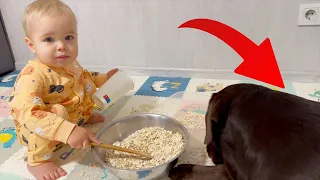 Baby Chef Teaches His Dog to Cook! Cutest Mess Ever