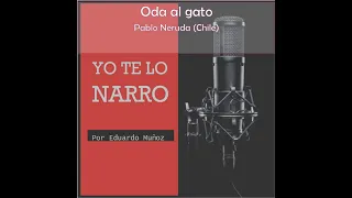 Oda al gato - Pablo Neruda (Chile)