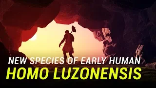 New species of early human discovered in the Philippines