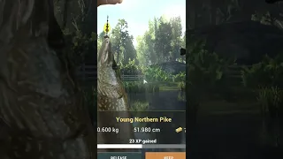 I Caught a Young Northern Pike,  Fishing Planet PC game