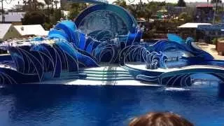 Blue Horizons Dolphin Show at Sea World San Diego California FULL SHOW HD